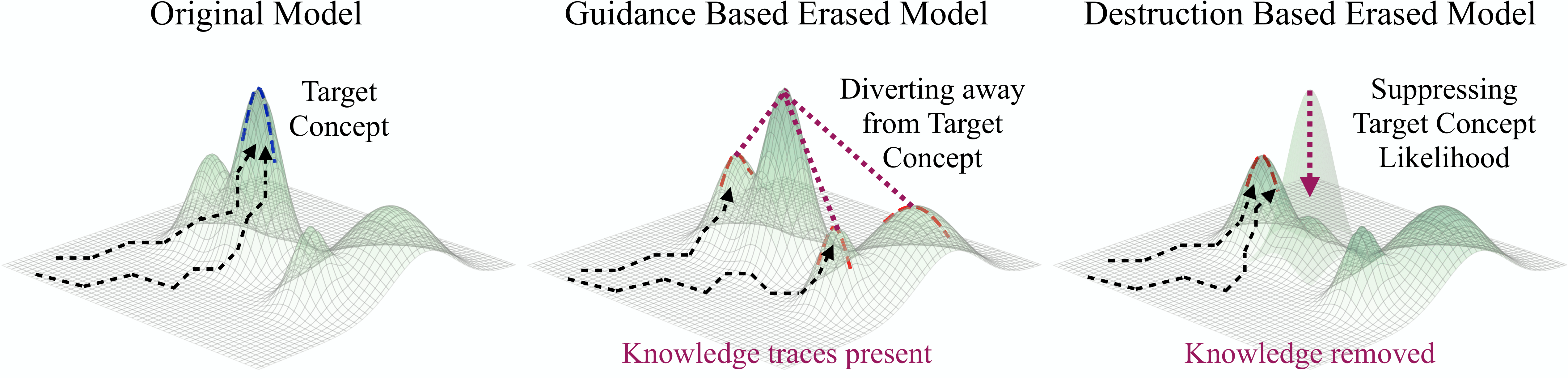 Conceptual diagram